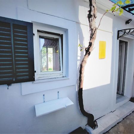Studio Apartment Murter Center Bagian luar foto